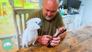 Spicy Cockatoo Sings And Dances For His Fans. Everyone's Shocked | Cuddle Buddies