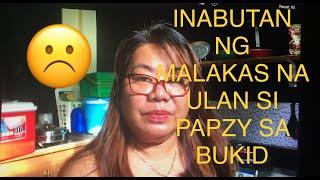 BEAUTIFUL LIFE: INABUTAN NG MALAKAS NA ULAN SI PAPAZY SA BUKID: LovelaceVLOG