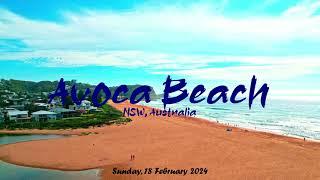 Drone - Australia 2024-02 Avoca Beach