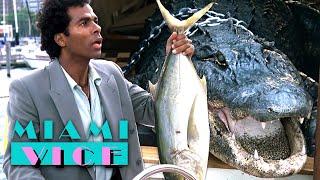 Tubbs Meets Crokett's Pet Alligator 'Elvis' | Miami Vice