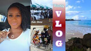 Weekly Vlog I Commit To A Bridge