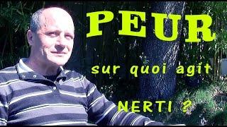 peurs sur quoi agit nerti ?