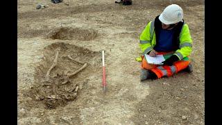 The Archaeology of the A120: What We Can Learn from Human Remains