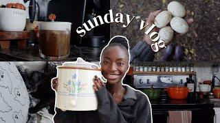 cozy sunday vlog  | my first duck egg, october book wrap up + chats, vintage thrift store find