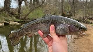 Stocked Trout Fishing For a Quick Limit at Saw Mill Park! (Darby Creek)