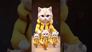 Cat Dance Video  #shorts #catdance #petdance #cute #funny #cutdance #doglovers