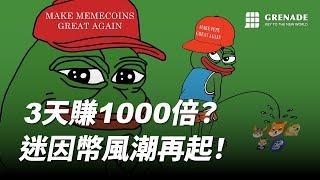 3天賺1000倍？迷因幣要怎麼玩？