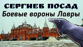 Красота древнего города | Сергиев Посад и его достопримечательности | Свято-Троицкая-Сергиева Лавра