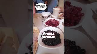 Голландец на Ямале: обедаю у оленеводов