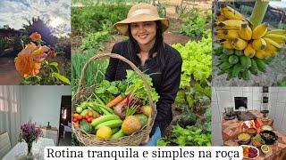 I woke up very early and the day was very productive/ The work on the farm never ends/ harvesting...