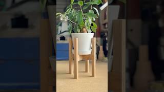DIY Plant Stand Without Nails. #shorts