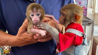 YiYi so excited when grandpa takes baby monkey for a health check up