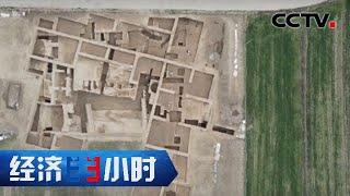 5000年前大型宫殿面世，黄土高原上发现最早的水稻遗存 「经济半小时」20221118 | CCTV财经