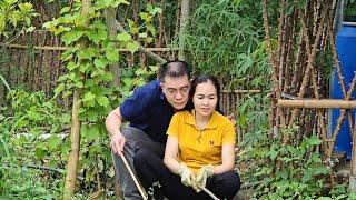 On weekends, Phuong Ca prepares rustic dishes for the whole family to have a happy dinner.