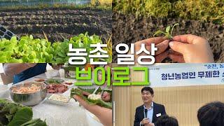 배추 심고 순천 시장님 만나는 농촌 일상