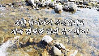 경매 넘어가기 직전입니다! 계곡 캠핑장 싸게 팝니다. 이 기회를 잡으십쇼