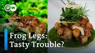 French frog legs: delicacy or disaster?