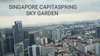 CAPITASPRING SKY GARDEN BEAUTIFUL VIEW