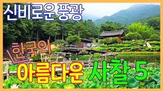 신비로운 분위기를 가진 한국의 아름다운 사찰 5곳 | 대한민국 좋은 여행지 / 사진보다 실제로 가보면 더 좋은 곳 | Korea Temples