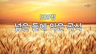 새찬송가 589장(통308) 넓은 들에 익은 곡식