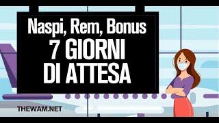 REM, PROROGA NASPI e BONUS 2400 EURO: Settimana Decisiva