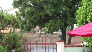 It's actually raining, the movie