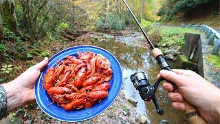 Fishing for Crawfish and Boiling 'Em in Butter!!!