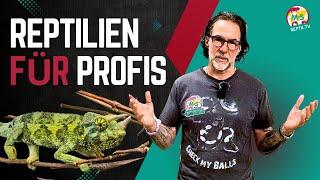  Reptiles for professionals: The most demanding species in the terrarium 