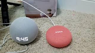 AlexaVsGoogle- Who wins? #alexavsgoogle  #alexa #google