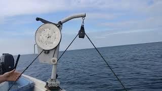 Putting out  lobsters at Loch Ryan in Scotland