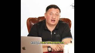 Эпифиз: вор серотонина? Как шишковидная железа влияет на мозг