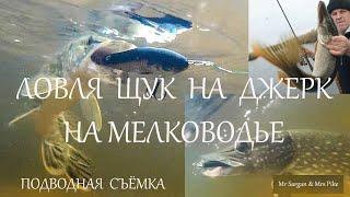 Ловля щук на джерк на мелководье