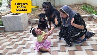 It is very difficult to handle them | funny dog videos |cute puppy| @snappygirls02