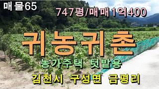 김천토지 김천땅/김천시 구성면 금평리 농림지역 토지/평수747평/매매1억400만원/농가주택,텃밭,농막설치