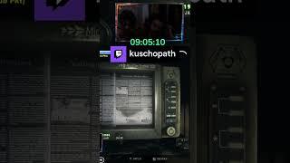 Ein ganz gemütlicher Stream KEKSure | kuschopath auf #Twitch