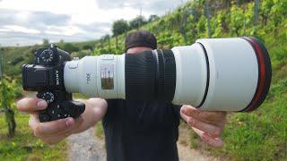 Sony 300mm F2.8 GM Review - beeindruckend gut!