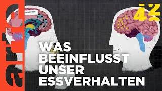 Warum essen wir, was wir essen? | 42 - Die Antwort auf fast alles | ARTE