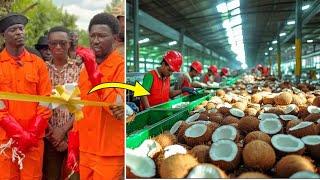 Wow!! Nana Kwame Bediako opens a new Coconut Factory in Volta Region & planted over 10,000 coconut