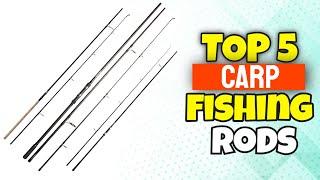 5 Best Carp Fishing Rods In 2022 | Rod For Carp Fishing