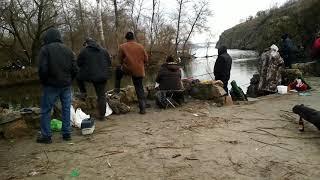 разрыв тарани на Вырве! рыбалка в Запорожье. А ты за такую рыбалку?!