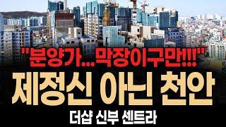 천안 더샵 신부 센트라 아파트 "아무도 말해주지 않는 신호가 넘치네요"