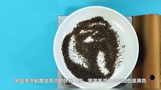 黑苦荞茶和黄苦荞茶有什么区别