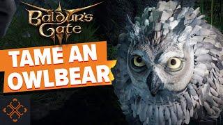 Baldur's Gate 3: How To Get The Owlbear Cub