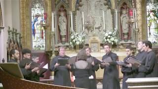 O,O,O,O! Exsultet Mundus Gaudio  - David Yardley