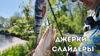 Рыбалка без лодки. Ловим щуку на реке с берега. Щука на джеркбейты и слайдеры.