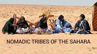 Nomadic Tribes of the Sahara | Full Documentary