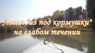 Ловля "из под кормушки" на слабом течении