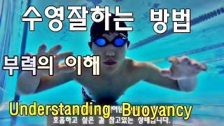 (ENG) 부력의 이해 / How to swim well /생존수영 / 수영강습 [ 뉴욕 수영코치 New York Swim Coach ]