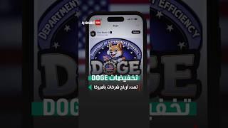 تخفيضات DOGE تهدد أرباح شركات بأميركا