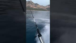 Marine Time 5.56 / Suzuki 100 Hp